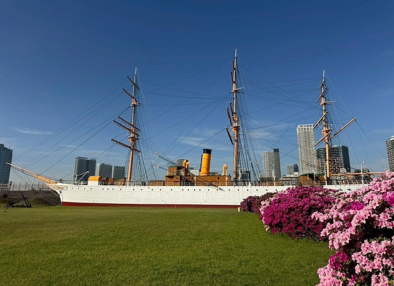 A large ship with tall masts and a smokestack, docked in a grassy area with a city skyline in the background. 5