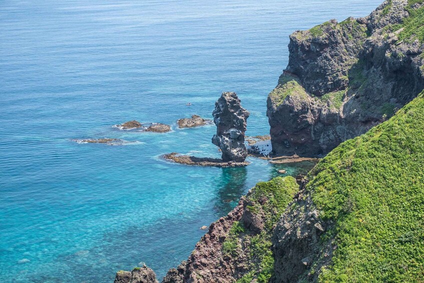 Picture 6 for Activity From Sapporo: Shakotan Coast, Cape Kamui and Otaru Day Trip 4
