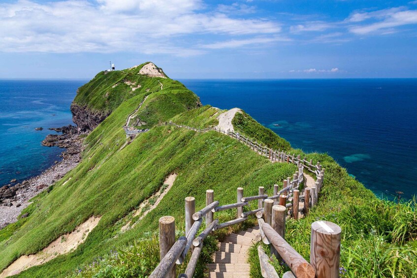 From Sapporo: Shakotan Coast, Cape Kamui and Otaru Day Trip 1
