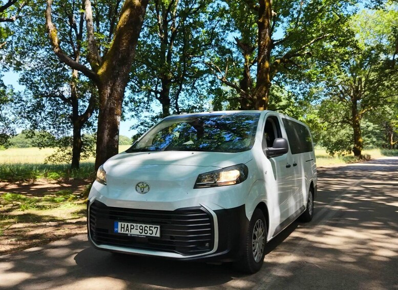 A white Toyota van parked on a tree-lined road. 5