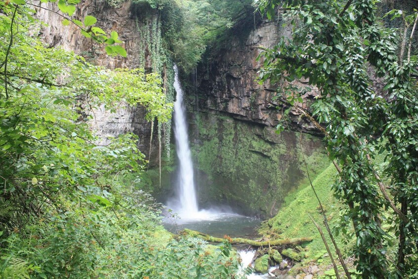 A waterfall cascading down a rocky cliff surrounded by lush greenery. 1