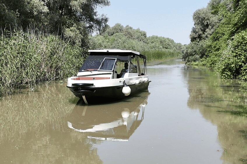 Picture 6 for Activity Tulcea: Danube Delta Boat Trip to Mile 23 Village 2