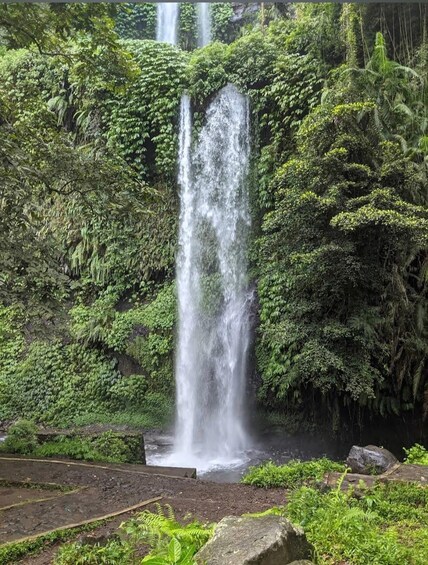 A waterfall surrounded by lush greenery. 2