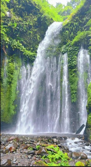 A waterfall cascading down a moss-covered cliff surrounded by lush greenery. 4