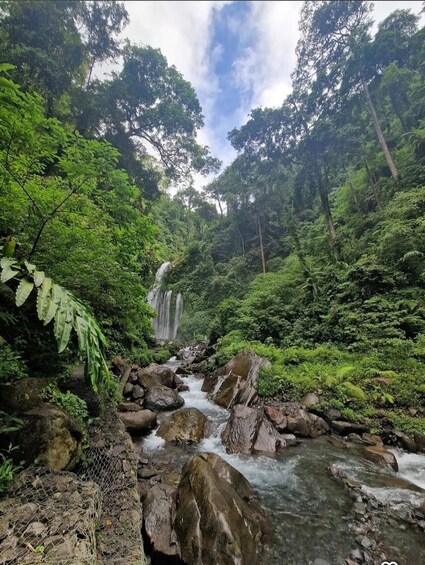 A river flowing through a forest with a waterfall in the background. 5