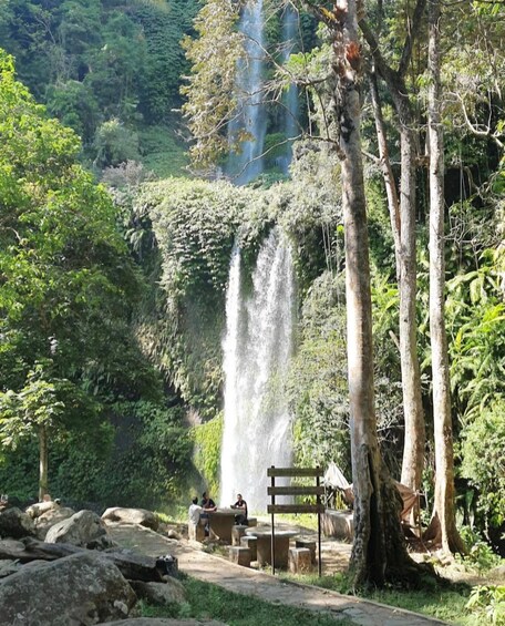 A waterfall surrounded by lush greenery and a wooden bench. 3
