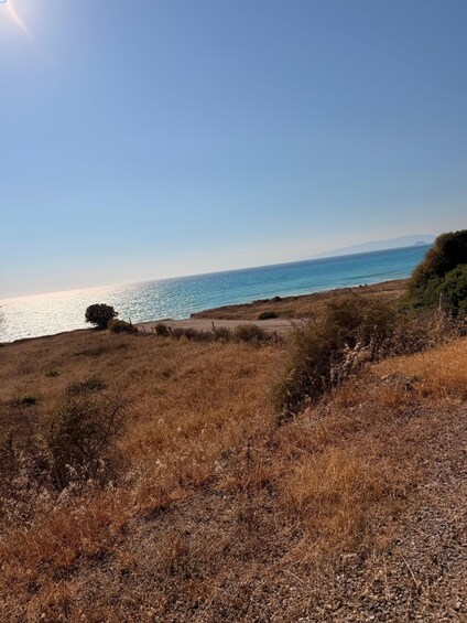 A coastal landscape with dry grass, a tree, and a clear sky. 2