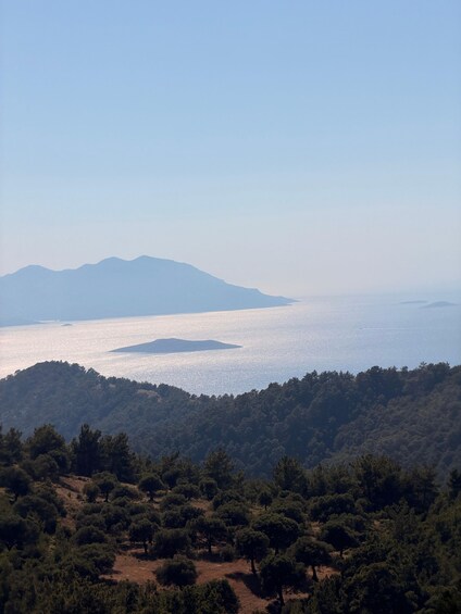 A coastal landscape with a clear sky, a body of water, and a hilly terrain covered with trees. 4