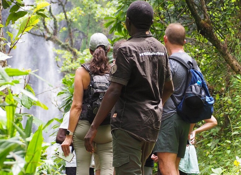 A group of people hiking in a lush, green forest with a waterfall in the background. 5