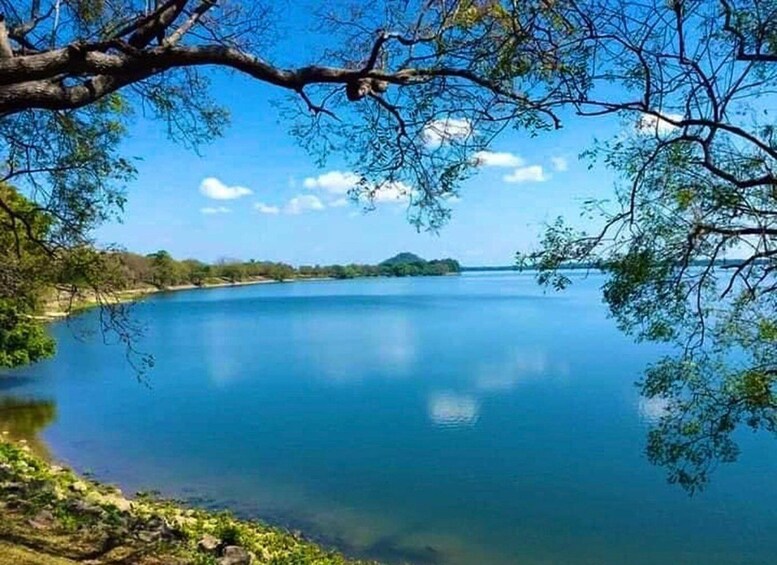 Un lago tranquilo rodeado de árboles y un cielo despejado. 5
