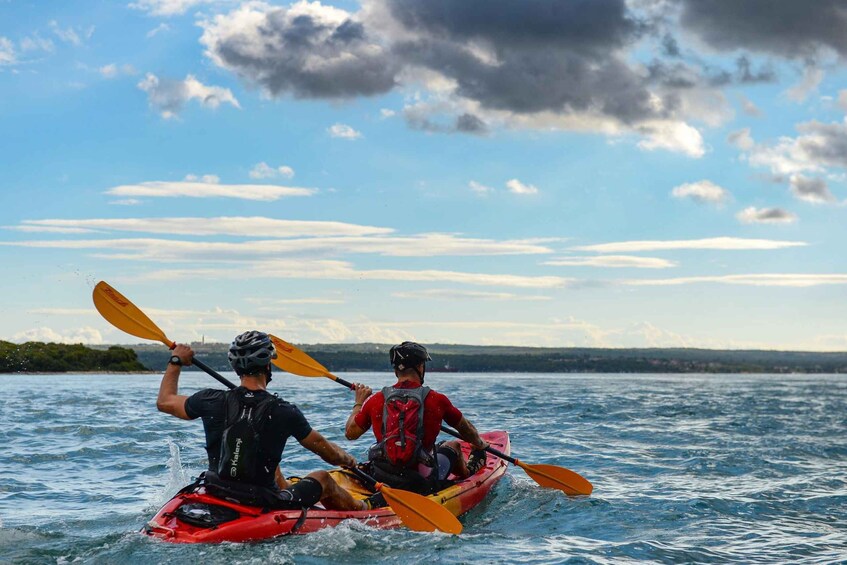 Picture 1 for Activity Brijuni National Park: Official Guided Kayak Tour 3