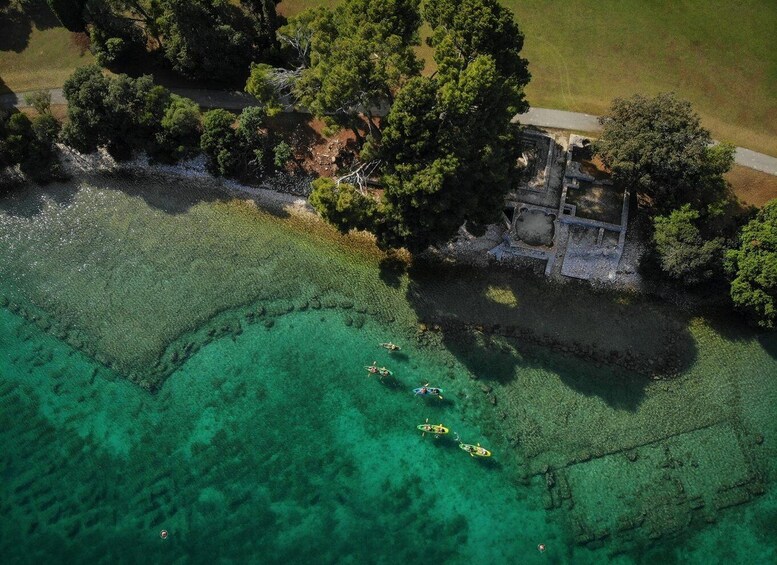 Picture 2 for Activity Brijuni National Park: Official Guided Kayak Tour 2