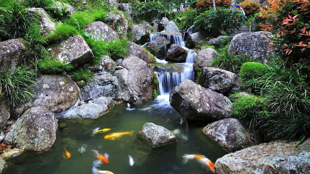A koi pond with a waterfall surrounded by rocks and greenery. 4