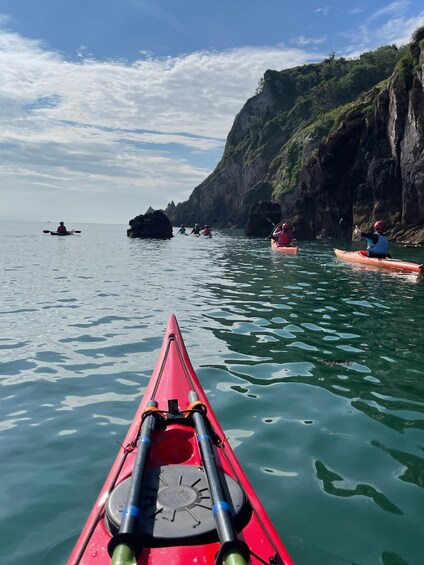 South Devon: Full day sea kayak trip 1