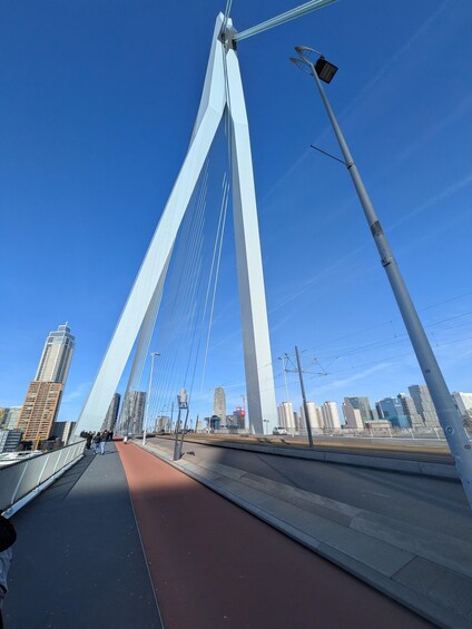 Picture 5 for Activity Rotterdam narrated by a French tour guide 5