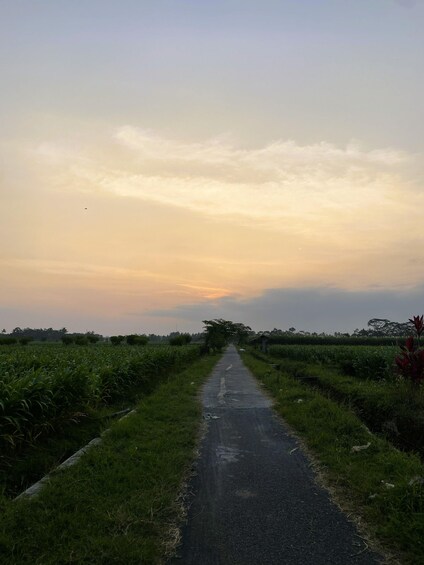 A rural road flanked by fields and a clear sky. 2