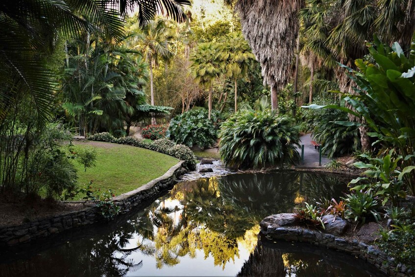 A tranquil garden with a pond, lush greenery, and a stone pathway. 1