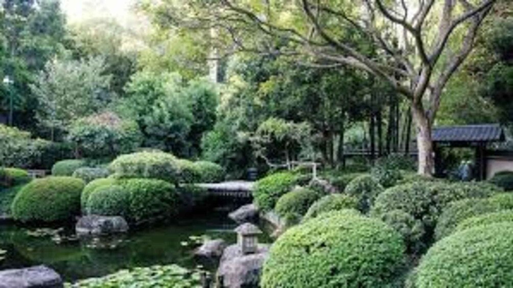 A traditional Japanese garden with a pond, rocks, and neatly trimmed bushes. 4