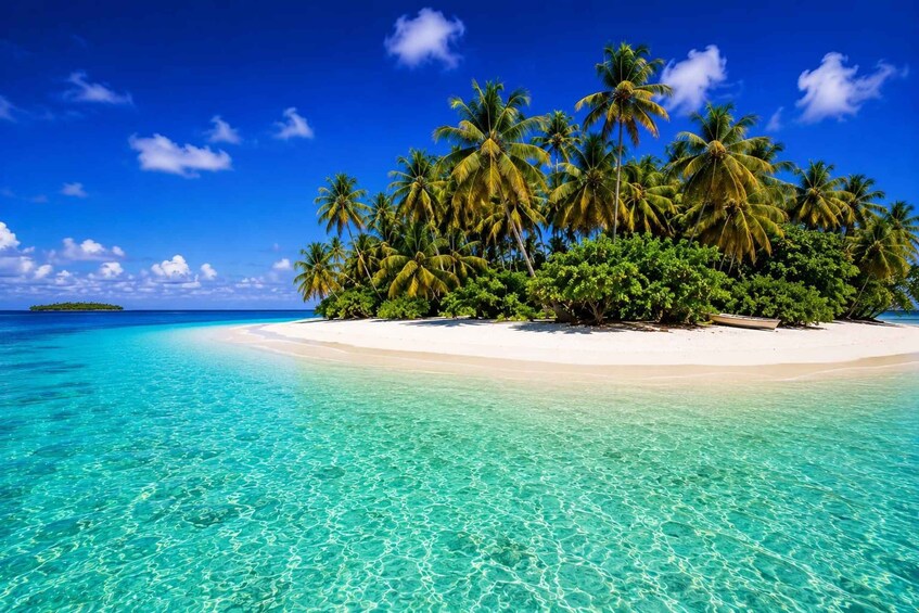 Bocas del Toro: Caribbean beach, sea and wildlife experience 3