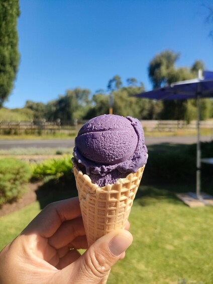 A hand holding a waffle cone with a scoop of purple ice cream. 4