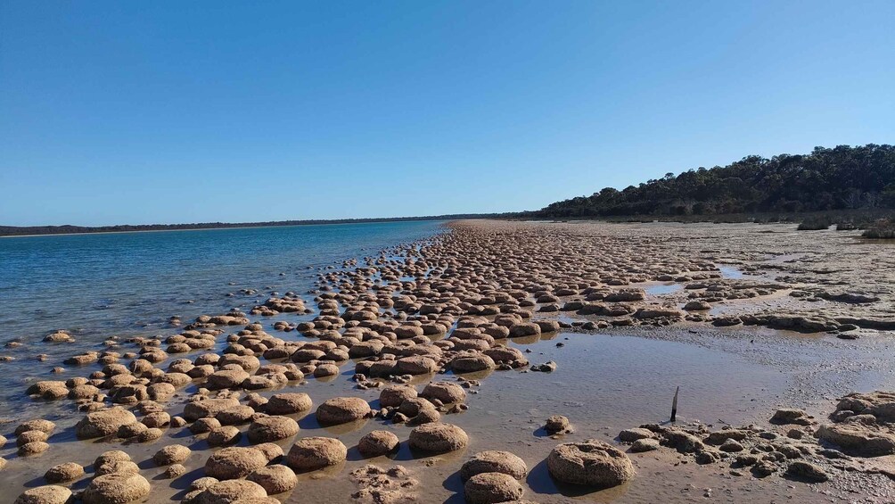 A beach with numerous spherical rock formations and a clear blue sky. 2