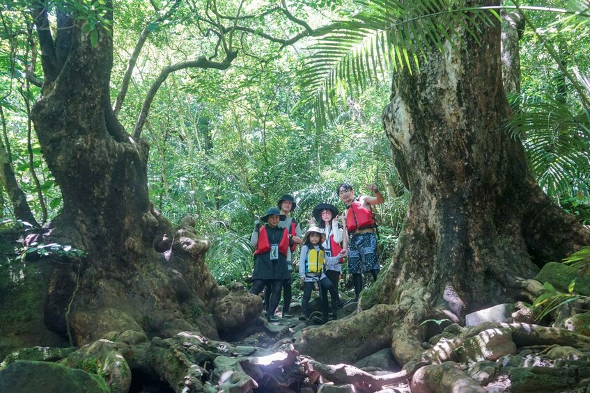 A group of people in a forested area with large trees and a rocky path. 2