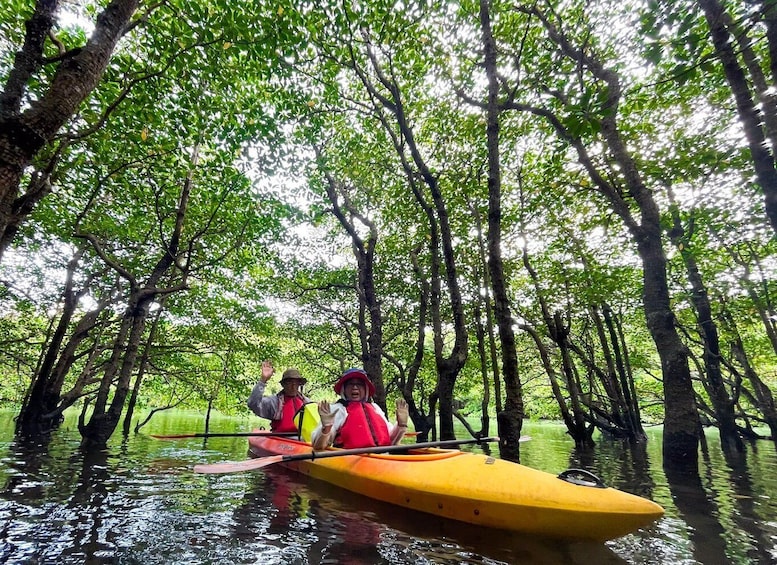 Two people kayaking in a mangrove forest. 5