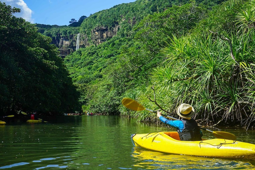 A person kayaking on a river surrounded by lush greenery and a waterfall. 1