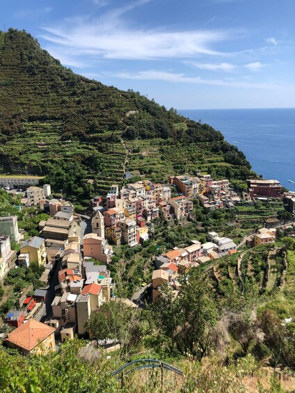 A coastal village with terraced vineyards, colorful buildings, and a hillside. 3