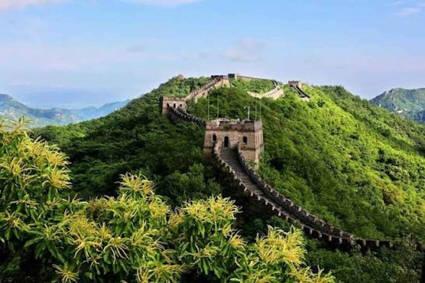 The Great Wall of China winding through lush green hills. 4