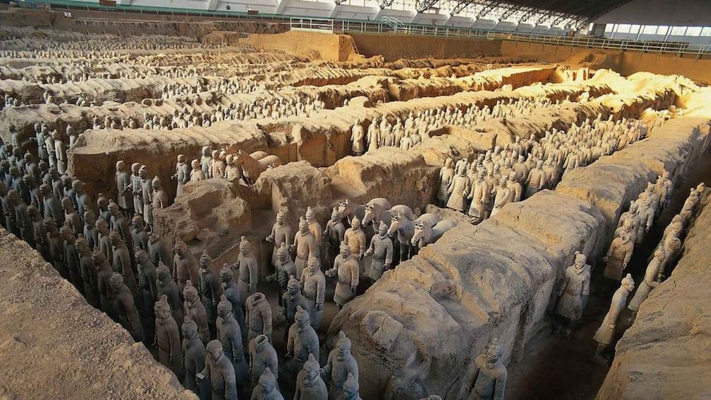 Terracotta soldiers arranged in rows and trenches. 5