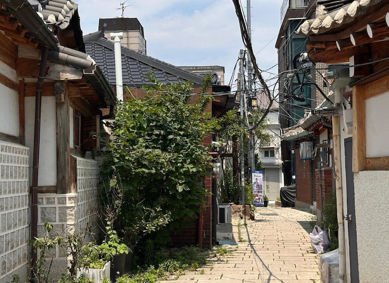 A narrow alley with traditional Japanese buildings, a tree, and overhead electrical wires. 1