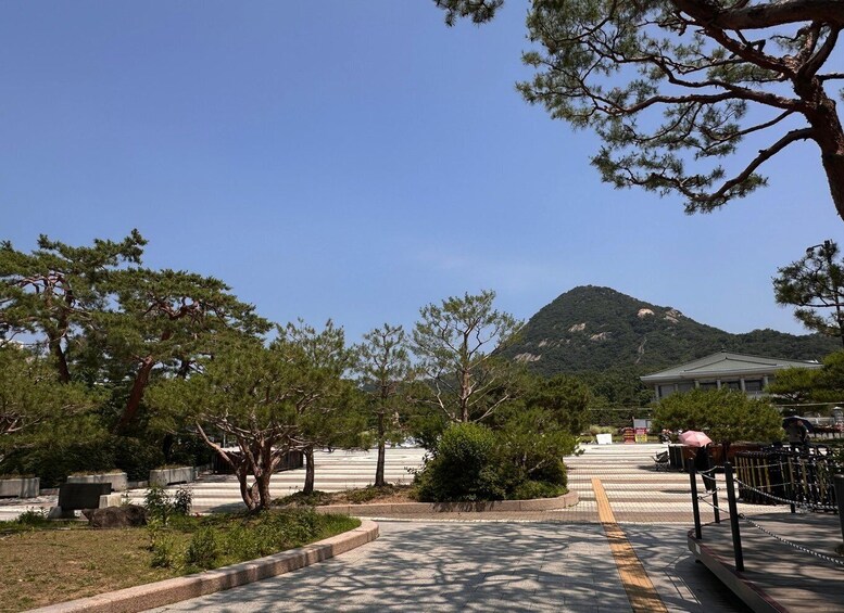 A paved pathway with trees, a mountain, and a building in the background. 4