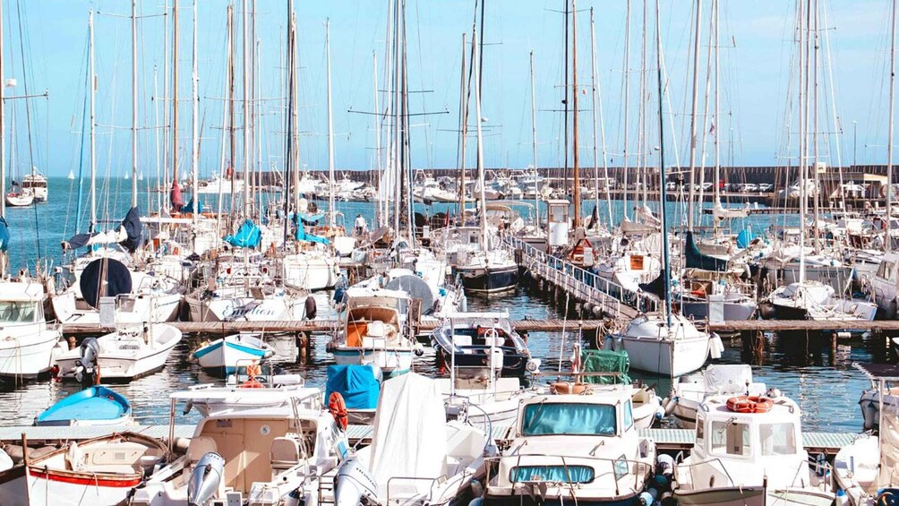 A marina filled with various boats docked at piers. 4