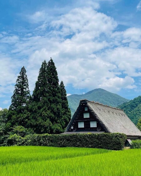 Picture 11 for Activity Kanazawa: Shirakawa-go & Takayama Private customize Day Trip 3