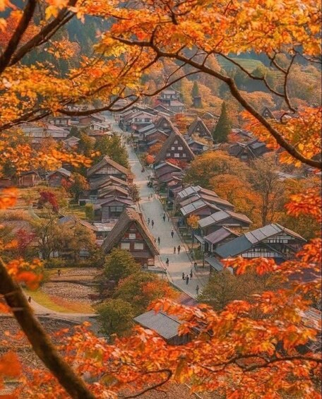 A traditional Japanese village with wooden houses and autumn foliage. 3