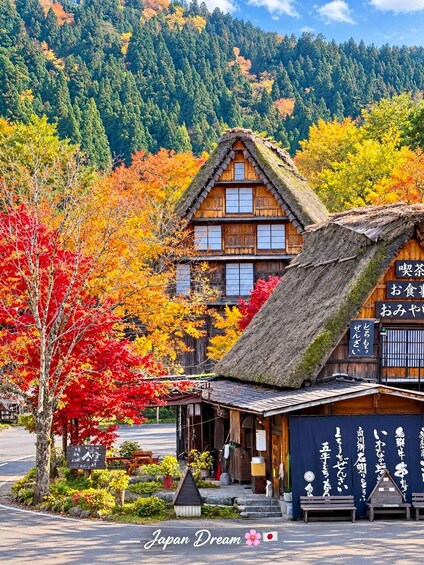 A traditional Japanese wooden house with a thatched roof, surrounded by autumn foliage. 4