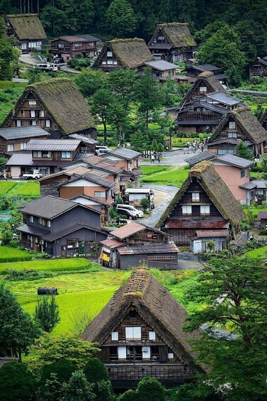 A village with traditional thatched-roof houses surrounded by lush green fields. 5