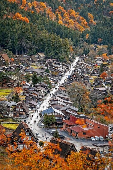 A village with traditional houses, a central road, and autumn foliage. 1
