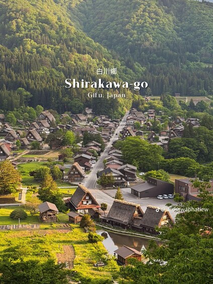 Picture 15 for Activity Kanazawa: Shirakawa-go & Takayama Private customize Day Trip 5