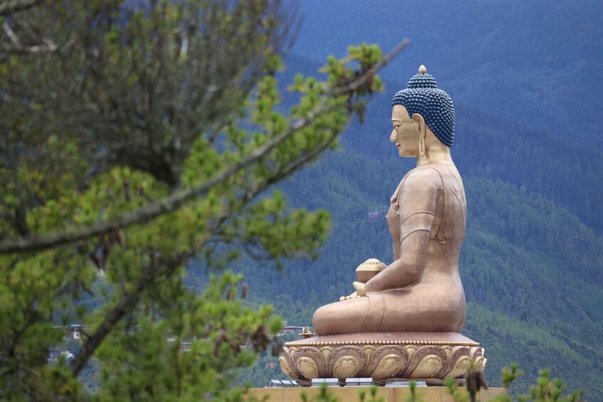 A large seated Buddha statue with a blue headdress, set against a mountainous backdrop. 3