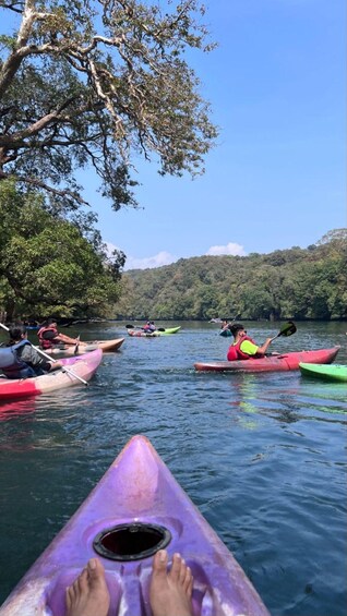 A group of kayakers on a calm river surrounded by dense forest. 2