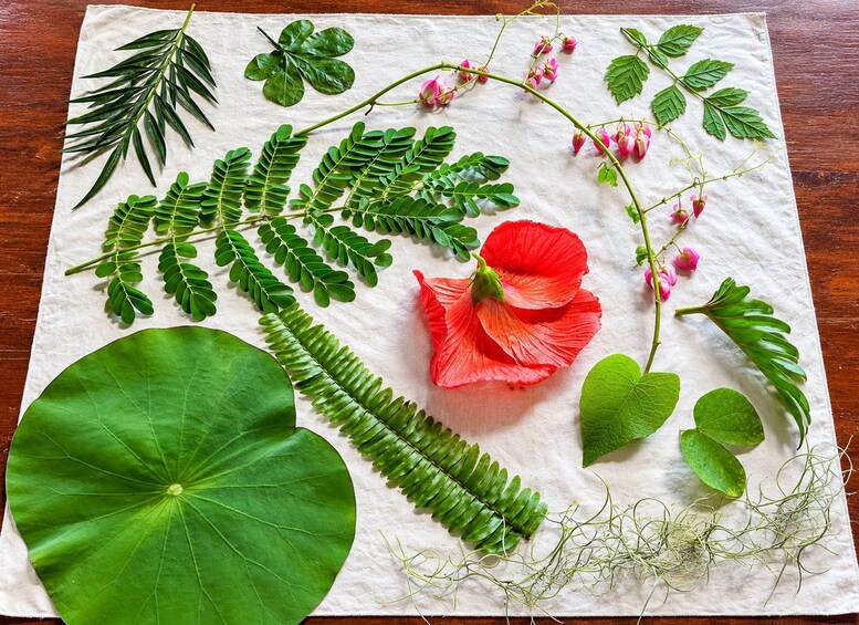 A variety of green plants and flowers on a cloth. 1