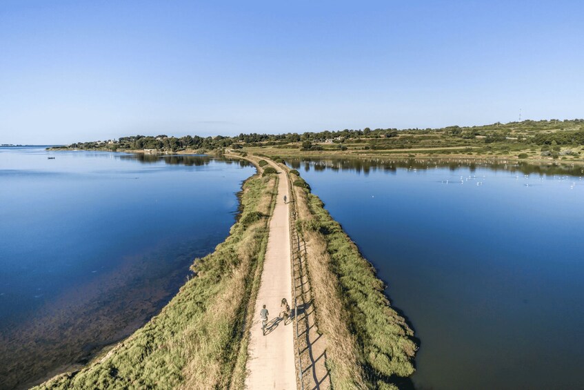 Picture 8 for Activity E-bike experience in Agde/Thau Lagoon and white wine 5