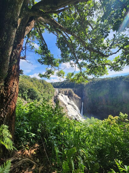 A waterfall cascading down a cliff surrounded by lush greenery. 1