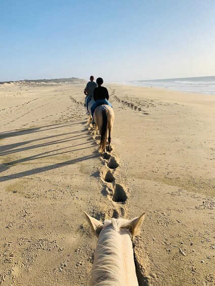 A horse and rider walking along a sandy beach with footprints leading towards the ocean. 3