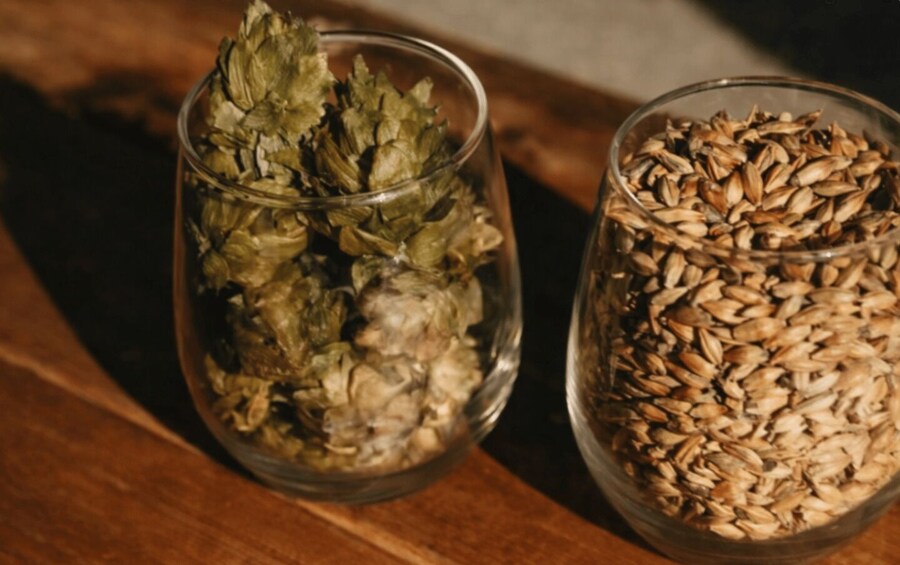 Two glass containers on a wooden surface, one filled with dried hops and the other with seeds. 2