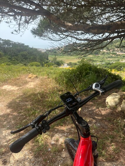 Picture 2 for Activity Ericeira: Surf Coast E-Bike Tour to Coxos 4