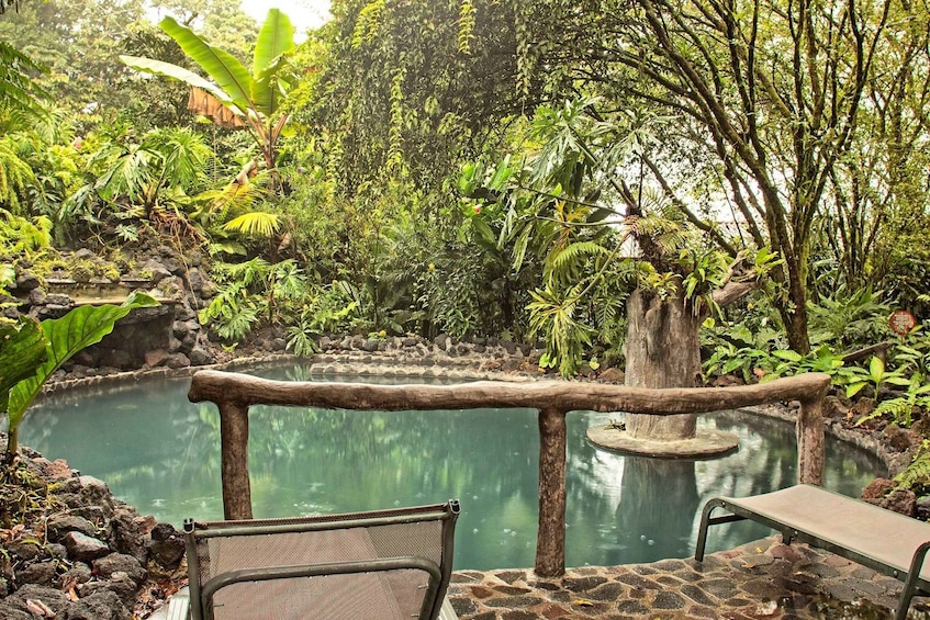 A tranquil garden with a pond, lush greenery, and a wooden bench. 3