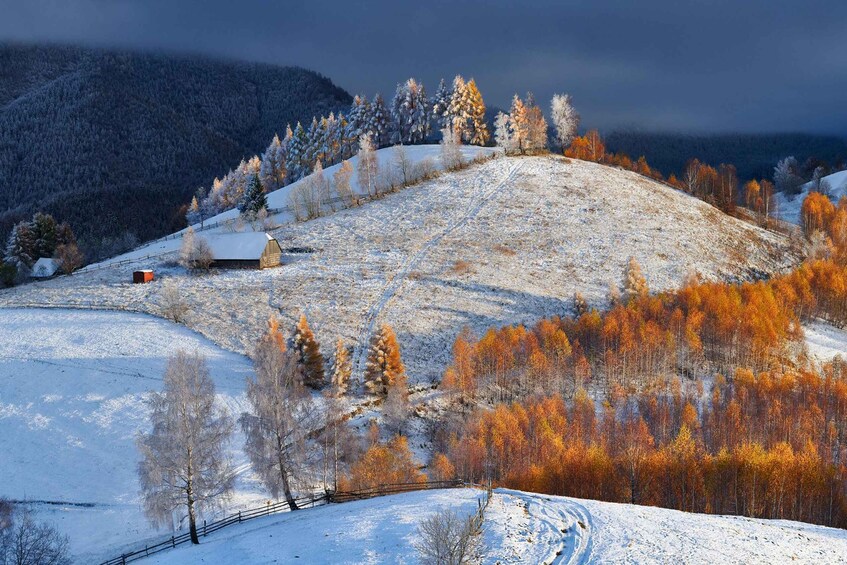 A snow-covered hill with a wooden structure, a fence, and a forest with autumn-colored trees. 3